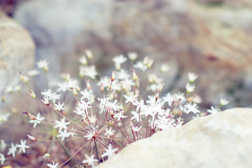 运用插件在火车头采集内容中，进行自动化批量内容重构锁词升级版